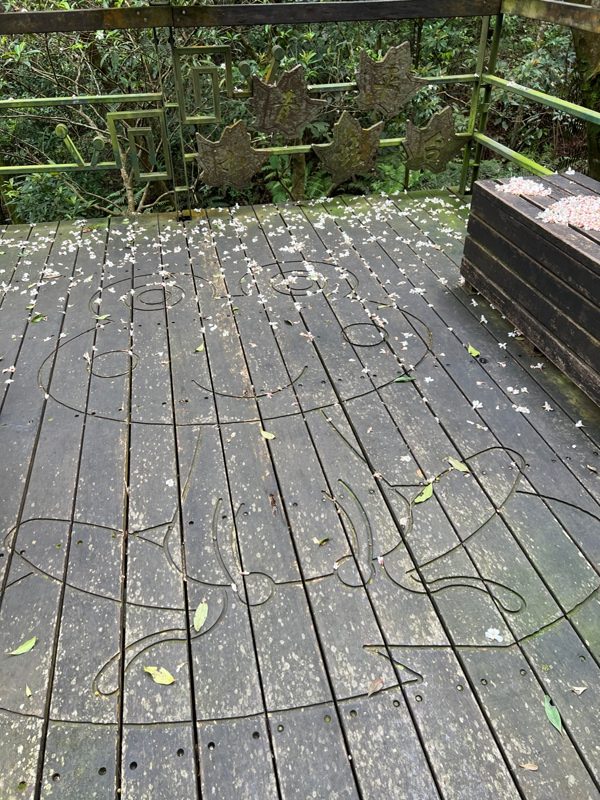 Daluntoushan0133-rotated 內湖-大崙頭山 親民步道美好景觀