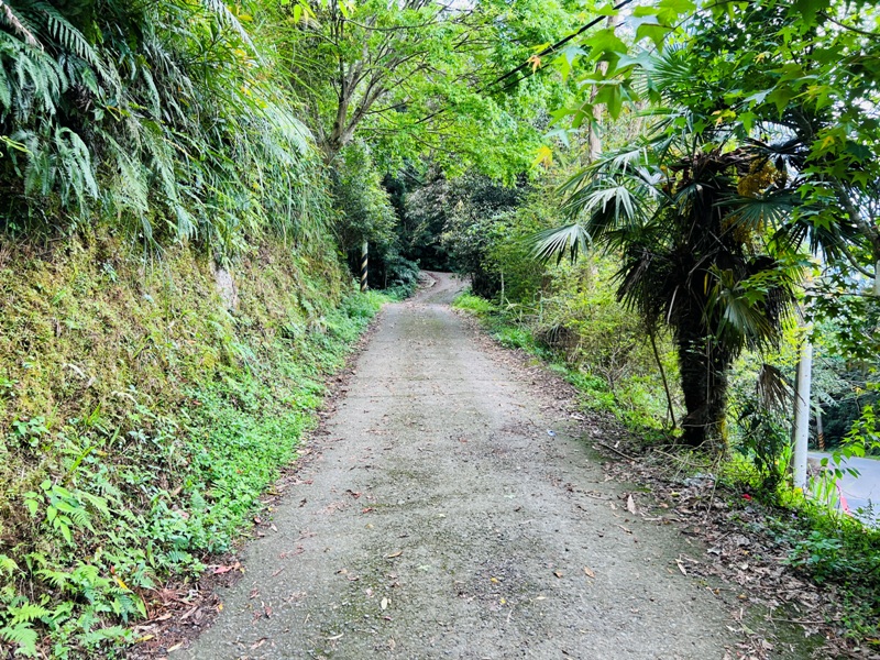 goosemt05 五峰-鵝公髻山 主峰未竟 東北峰賞五指山