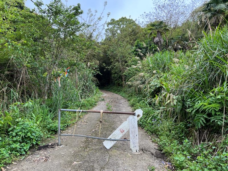 goosemt09-rotated 五峰-鵝公髻山 主峰未竟 東北峰賞五指山