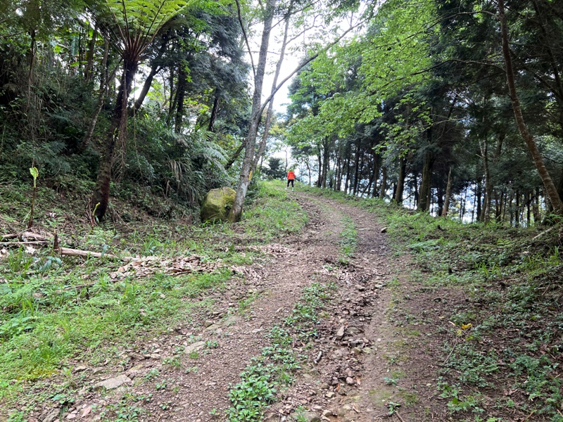 goosemt11 五峰-鵝公髻山 主峰未竟 東北峰賞五指山