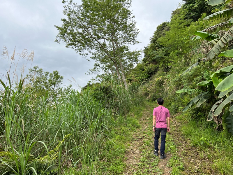 goosemt12 五峰-鵝公髻山 主峰未竟 東北峰賞五指山