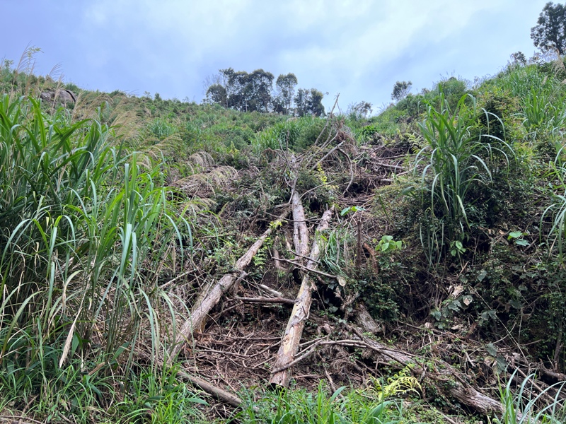 goosemt16 五峰-鵝公髻山 主峰未竟 東北峰賞五指山