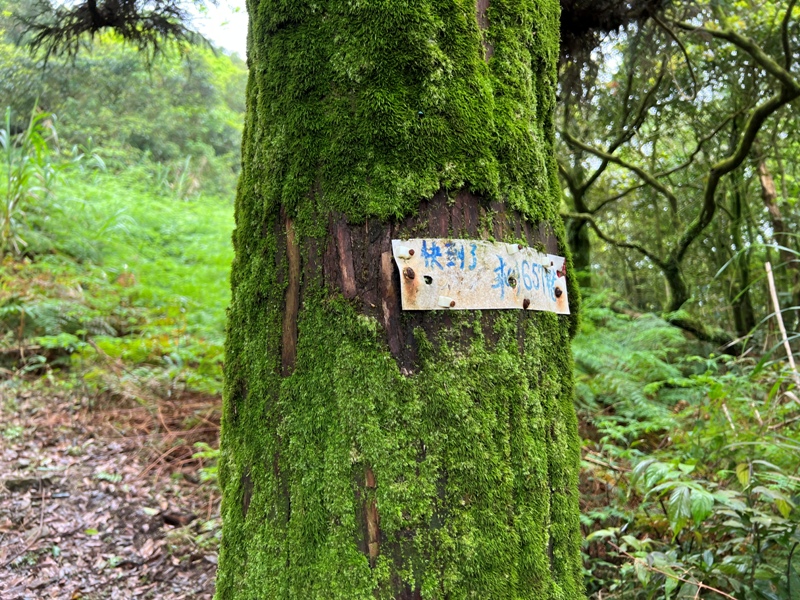 jiangziliao14 七堵-姜子寮山 霧鎖360度景觀 白牆一片...