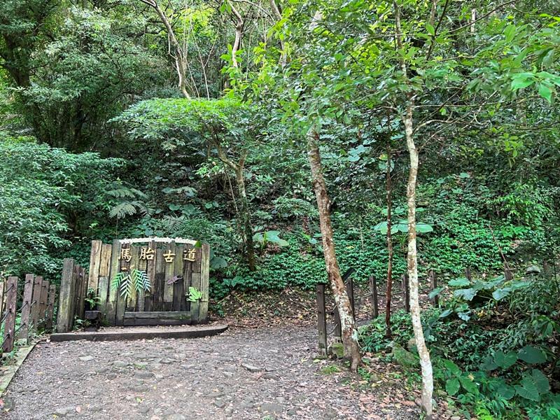 尖石-馬胎古道 林間鬱鬱蒼蒼 沿著油羅溪慢慢走的清爽