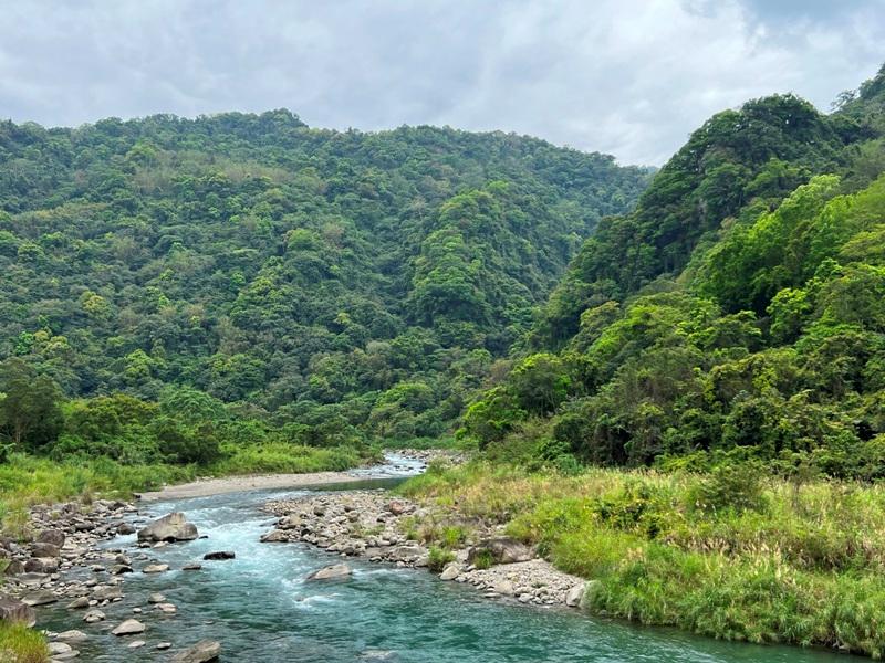 matai02 尖石-馬胎古道 林間鬱鬱蒼蒼 沿著油羅溪慢慢走的清爽
