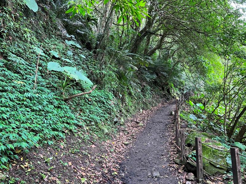 matai08 尖石-馬胎古道 林間鬱鬱蒼蒼 沿著油羅溪慢慢走的清爽