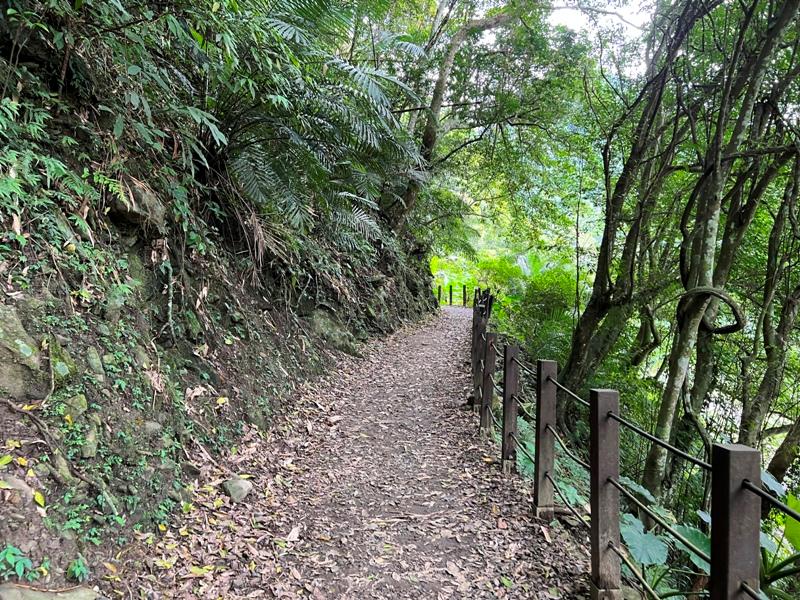 matai09 尖石-馬胎古道 林間鬱鬱蒼蒼 沿著油羅溪慢慢走的清爽