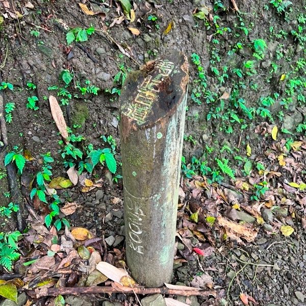 matai11-rotated 尖石-馬胎古道 林間鬱鬱蒼蒼 沿著油羅溪慢慢走的清爽