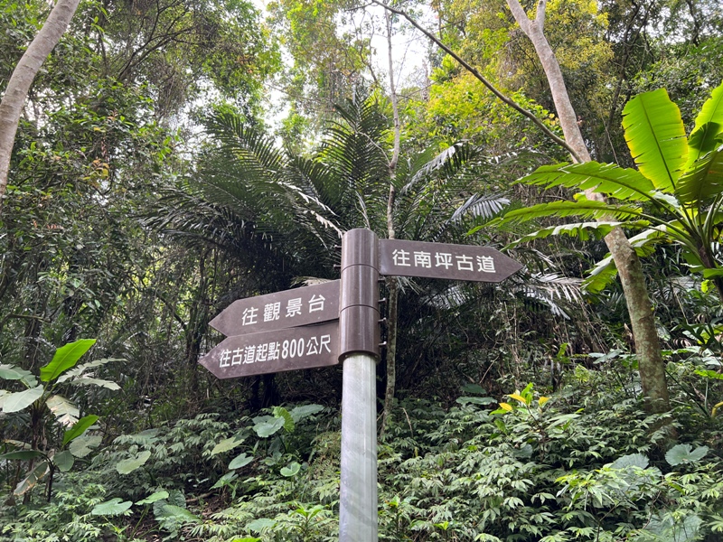 matai20 尖石-馬胎古道 林間鬱鬱蒼蒼 沿著油羅溪慢慢走的清爽