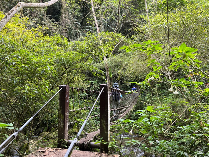 matai23 尖石-馬胎古道 林間鬱鬱蒼蒼 沿著油羅溪慢慢走的清爽