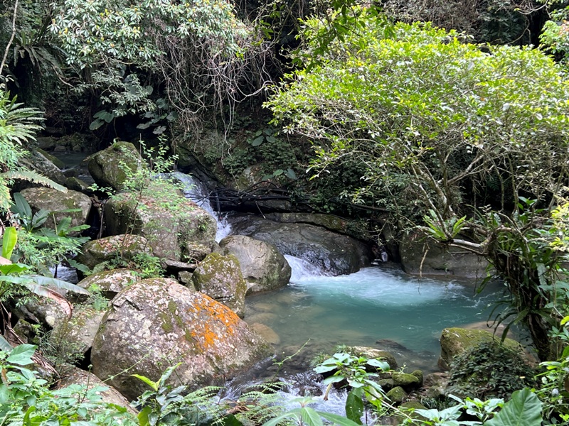 matai27 尖石-馬胎古道 林間鬱鬱蒼蒼 沿著油羅溪慢慢走的清爽