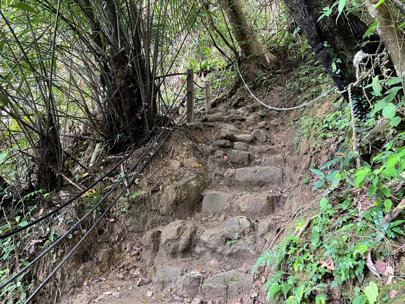 matai30 尖石-馬胎古道 林間鬱鬱蒼蒼 沿著油羅溪慢慢走的清爽