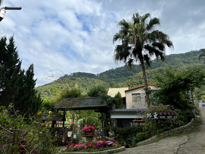 matai38 尖石-馬胎古道 林間鬱鬱蒼蒼 沿著油羅溪慢慢走的清爽