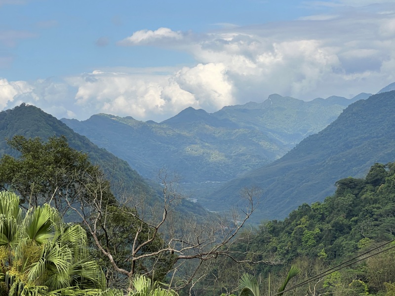 matai39 尖石-馬胎古道 林間鬱鬱蒼蒼 沿著油羅溪慢慢走的清爽