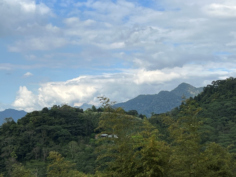 matai44 尖石-馬胎古道 林間鬱鬱蒼蒼 沿著油羅溪慢慢走的清爽