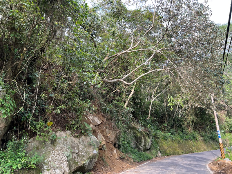 matai46 尖石-馬胎古道 林間鬱鬱蒼蒼 沿著油羅溪慢慢走的清爽