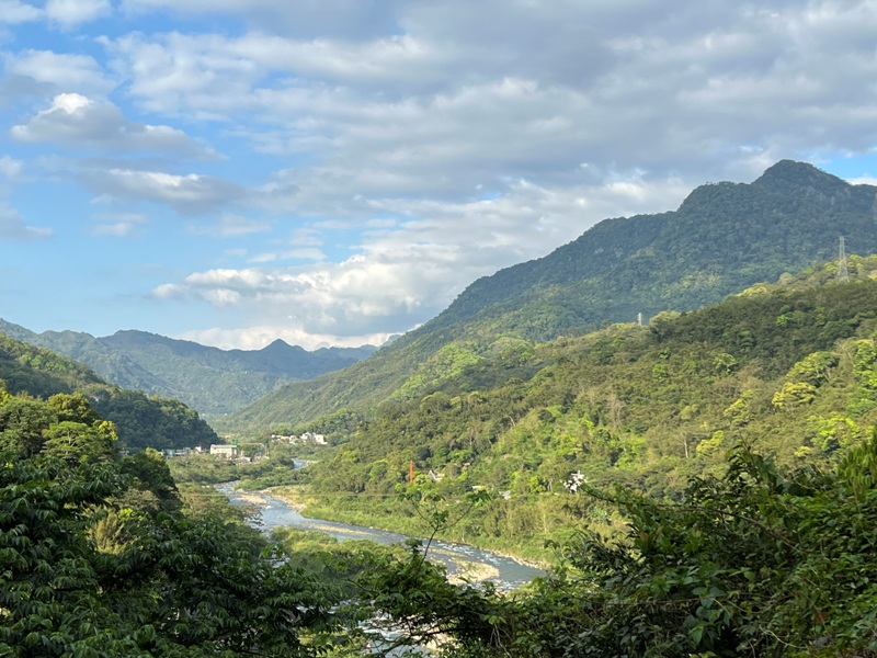 matai49 尖石-馬胎古道 林間鬱鬱蒼蒼 沿著油羅溪慢慢走的清爽