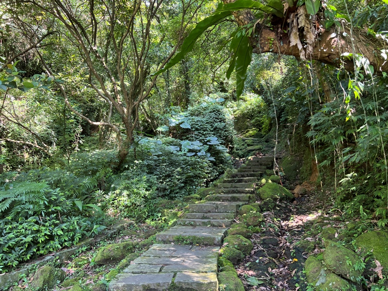 wufengmt08 平溪-五分山 360度景觀 有山有海還有101城市景觀