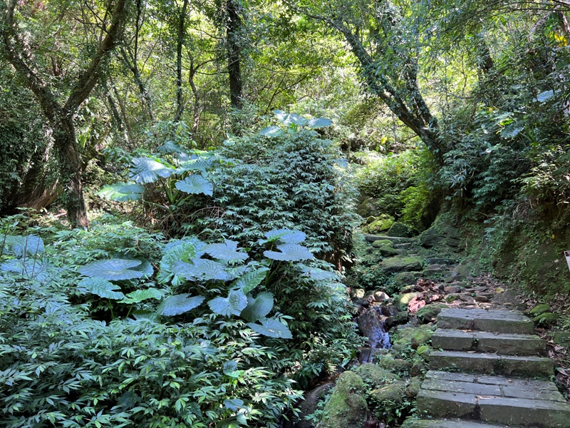 wufengmt10 平溪-五分山 360度景觀 有山有海還有101城市景觀