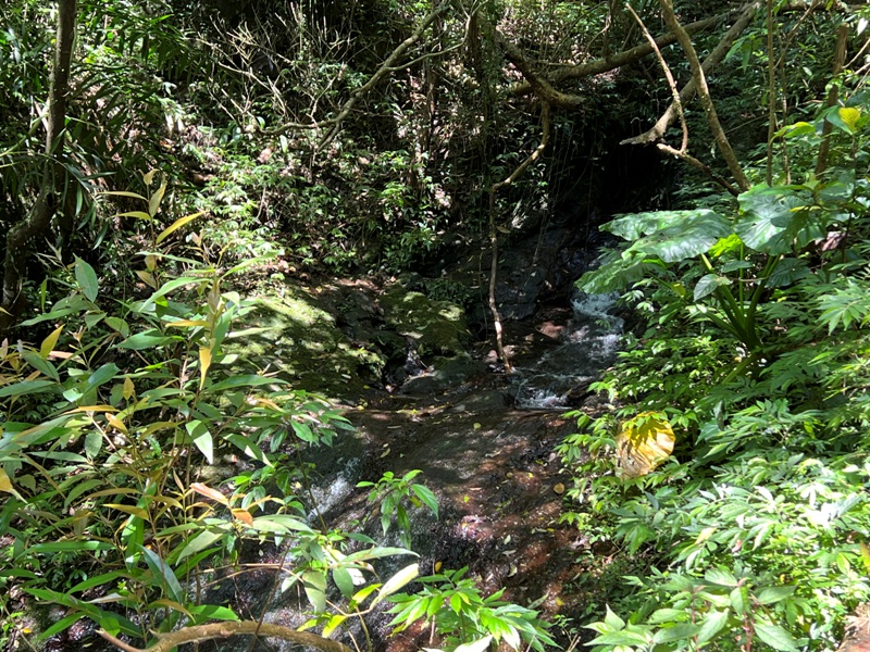 wufengmt11 平溪-五分山 360度景觀 有山有海還有101城市景觀