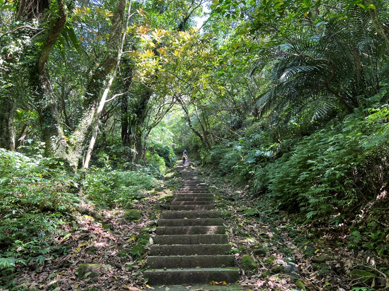 wufengmt12 平溪-五分山 360度景觀 有山有海還有101城市景觀