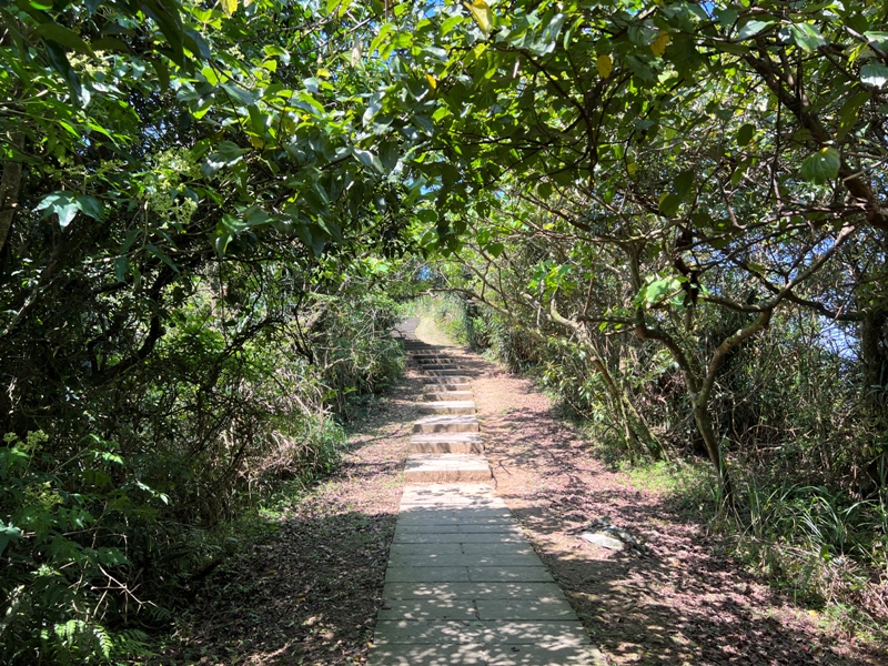 wufengmt17 平溪-五分山 360度景觀 有山有海還有101城市景觀
