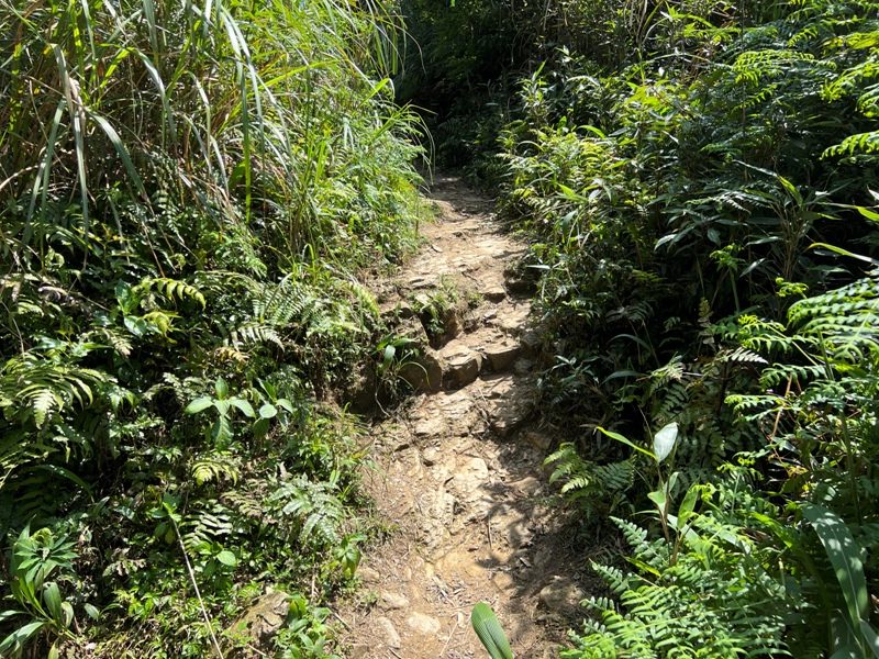 wufengmt34-rotated 平溪-五分山 360度景觀 有山有海還有101城市景觀