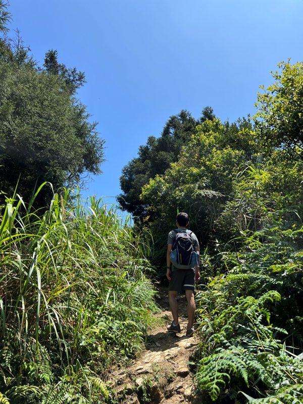 wufengmt35-rotated 平溪-五分山 360度景觀 有山有海還有101城市景觀