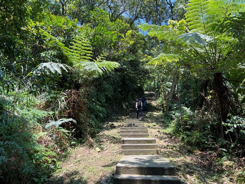 wufengmt52-rotated 平溪-五分山 360度景觀 有山有海還有101城市景觀