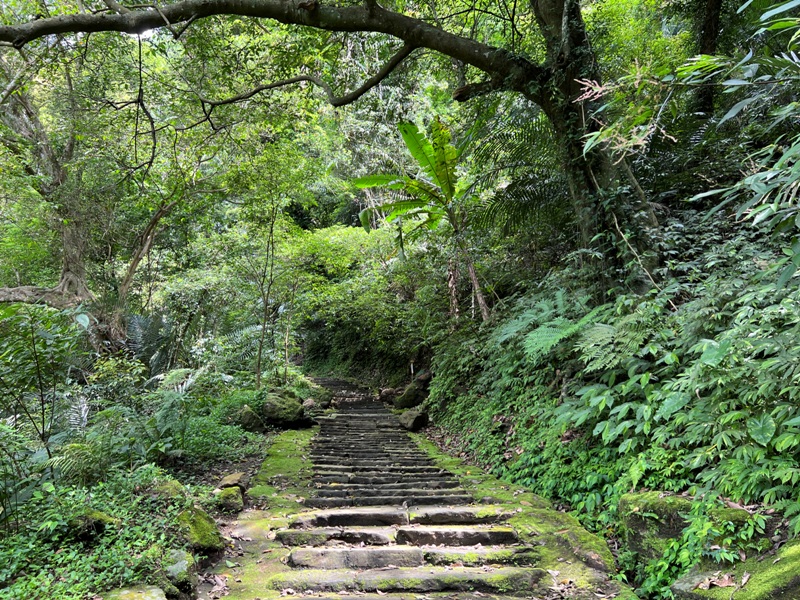 lionheadmt01116 南庄-獅頭山 廟宇古剎 古木石壁 愜意輕鬆