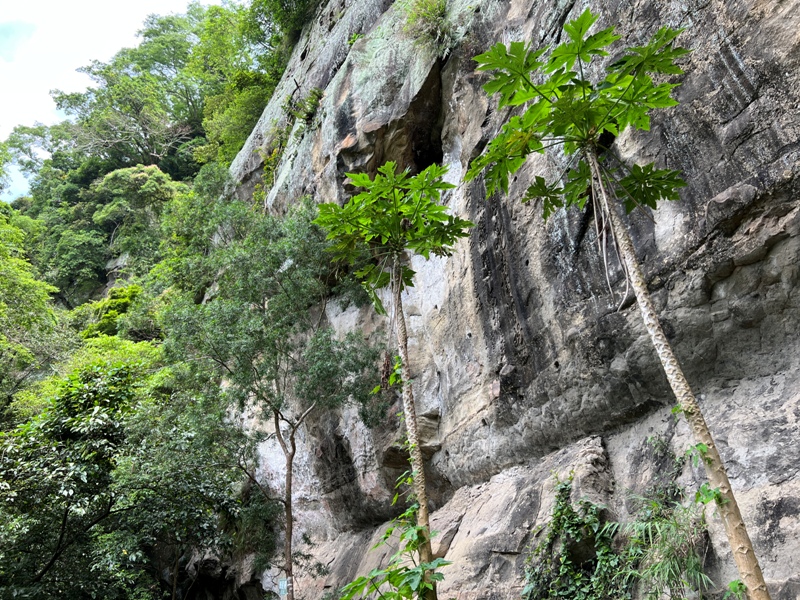 lionheadmt01118 南庄-獅頭山 廟宇古剎 古木石壁 愜意輕鬆