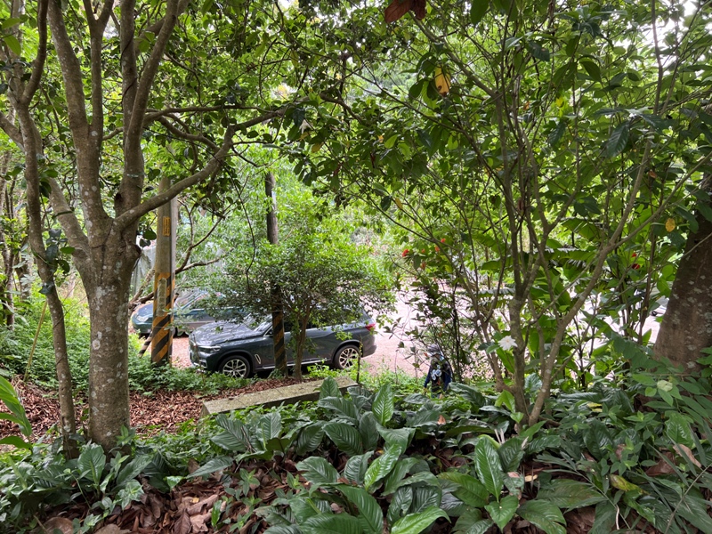 lionheadmt01125 南庄-獅頭山 廟宇古剎 古木石壁 愜意輕鬆