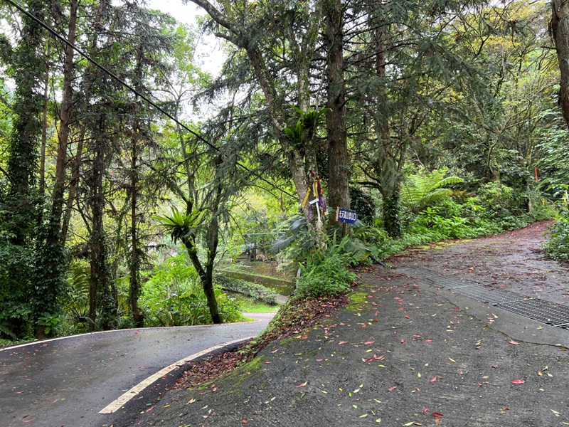 xiangtienhu4806 南庄-向天湖山 彷彿仙境的雲霧步道 爛泥巴多了點