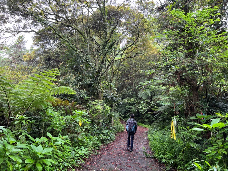 xiangtienhu4807 南庄-向天湖山 彷彿仙境的雲霧步道 爛泥巴多了點
