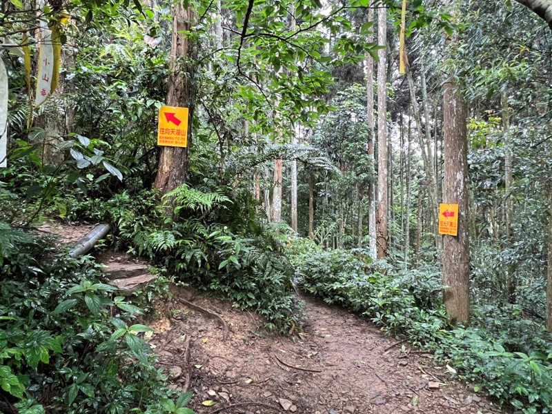 xiangtienhu4811 南庄-向天湖山 彷彿仙境的雲霧步道 爛泥巴多了點