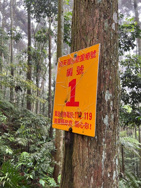 xiangtienhu4815-rotated 南庄-向天湖山 彷彿仙境的雲霧步道 爛泥巴多了點