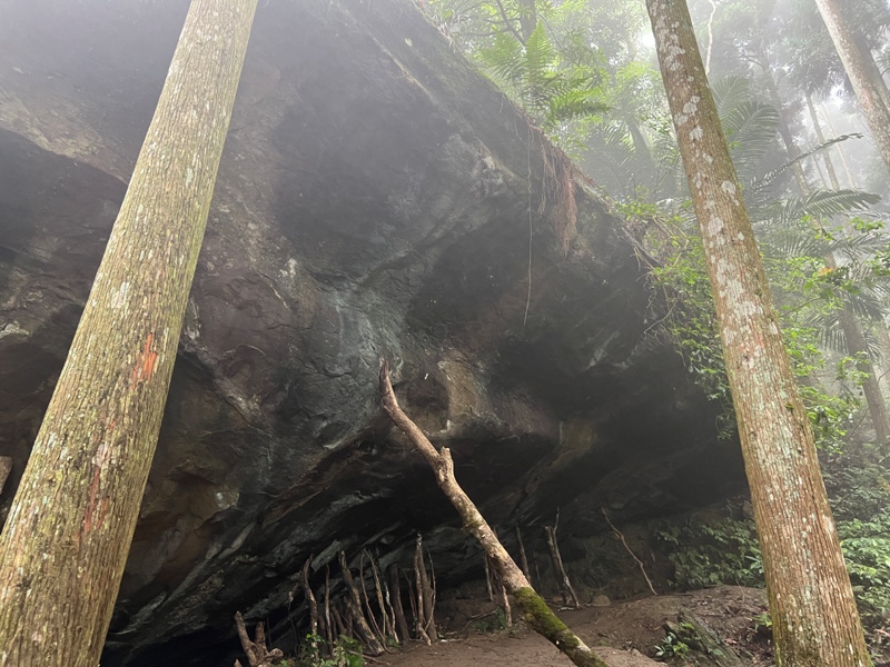 xiangtienhu4820 南庄-向天湖山 彷彿仙境的雲霧步道 爛泥巴多了點