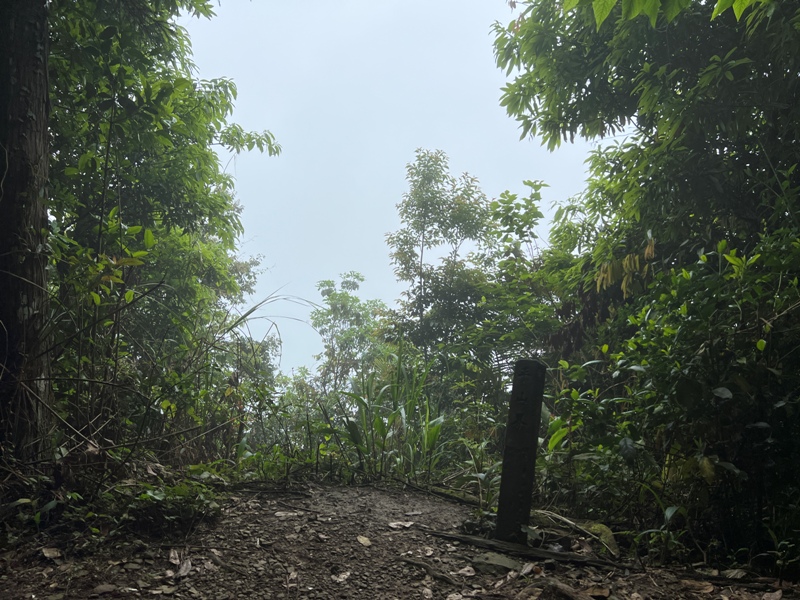 xiangtienhu4821 南庄-向天湖山 彷彿仙境的雲霧步道 爛泥巴多了點