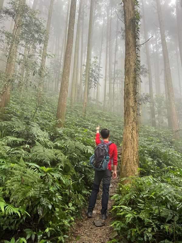 xiangtienhu4823-rotated 南庄-向天湖山 彷彿仙境的雲霧步道 爛泥巴多了點