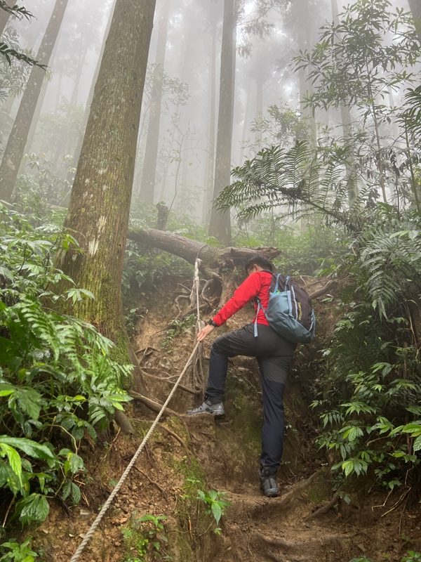 xiangtienhu4825-rotated 南庄-向天湖山 彷彿仙境的雲霧步道 爛泥巴多了點
