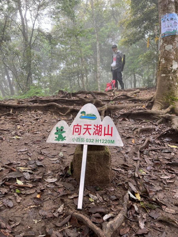 xiangtienhu4827-rotated 南庄-向天湖山 彷彿仙境的雲霧步道 爛泥巴多了點