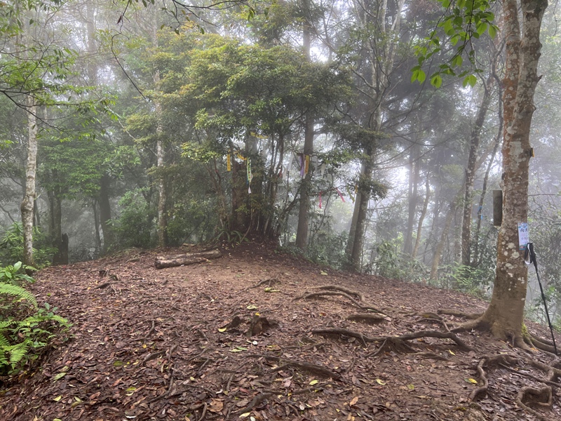 xiangtienhu4829 南庄-向天湖山 彷彿仙境的雲霧步道 爛泥巴多了點