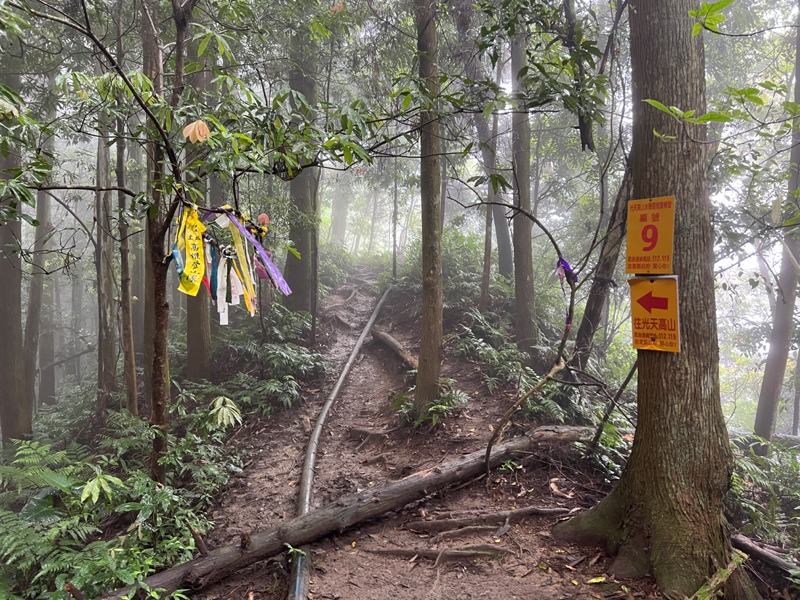 xiangtienhu4834 南庄-向天湖山 彷彿仙境的雲霧步道 爛泥巴多了點