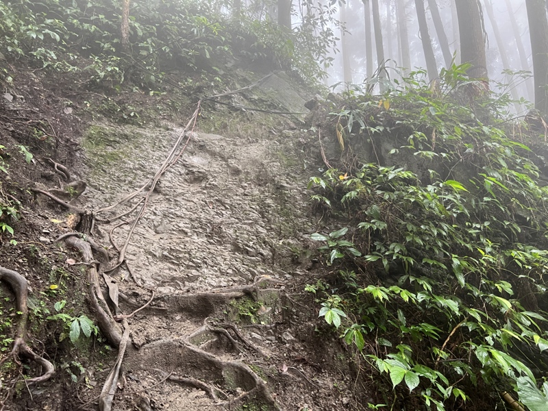 xiangtienhu4838 南庄-向天湖山 彷彿仙境的雲霧步道 爛泥巴多了點