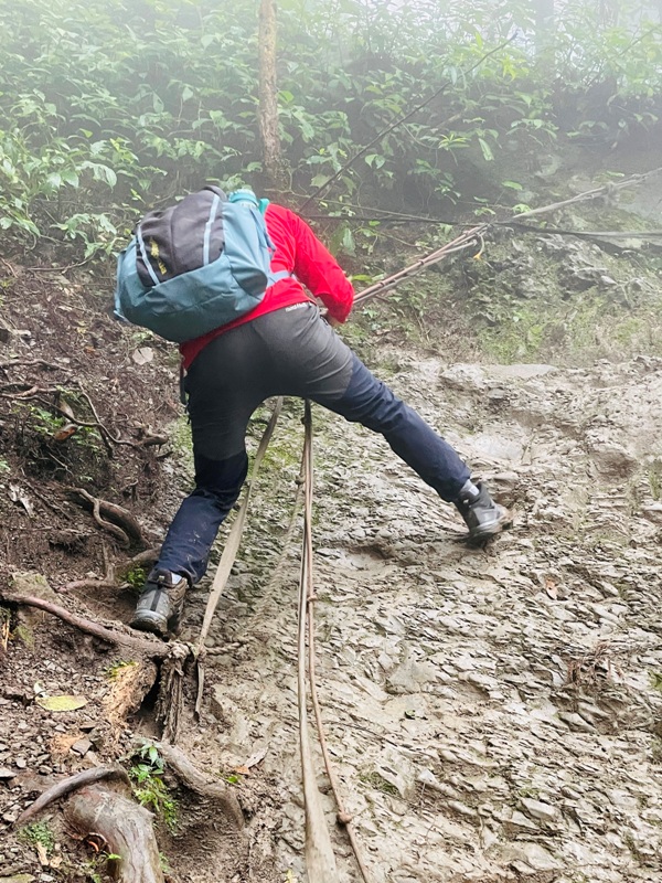 xiangtienhu4839 南庄-向天湖山 彷彿仙境的雲霧步道 爛泥巴多了點