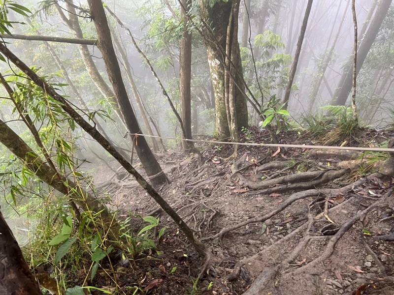 xiangtienhu4840 南庄-向天湖山 彷彿仙境的雲霧步道 爛泥巴多了點