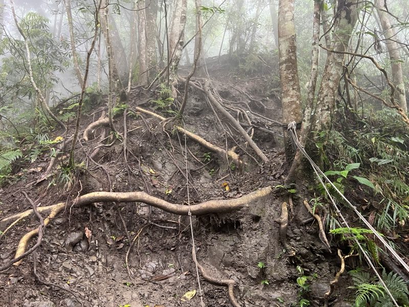 xiangtienhu4841-rotated 南庄-向天湖山 彷彿仙境的雲霧步道 爛泥巴多了點