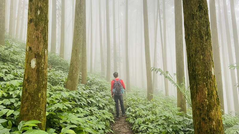 xiangtienhu4844 南庄-向天湖山 彷彿仙境的雲霧步道 爛泥巴多了點