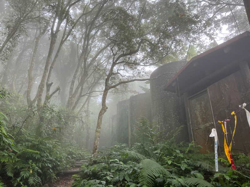 xiangtienhu4845 南庄-向天湖山 彷彿仙境的雲霧步道 爛泥巴多了點