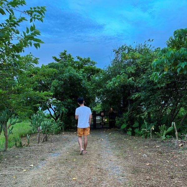 desertstyle02-rotated-e1655010583998 豐濱-沙漠風情 內外皆美 如藝術品在石梯坪的存在